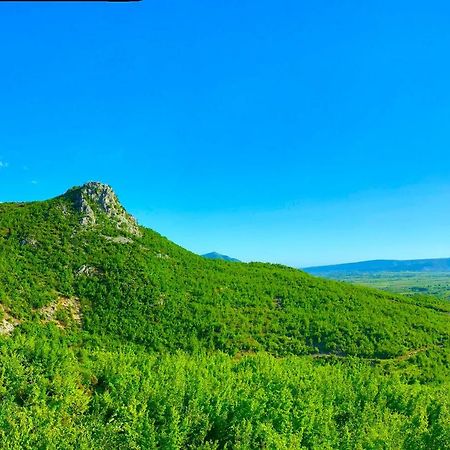 Hani I Leks Agroturizem Lezhe Luaran gambar