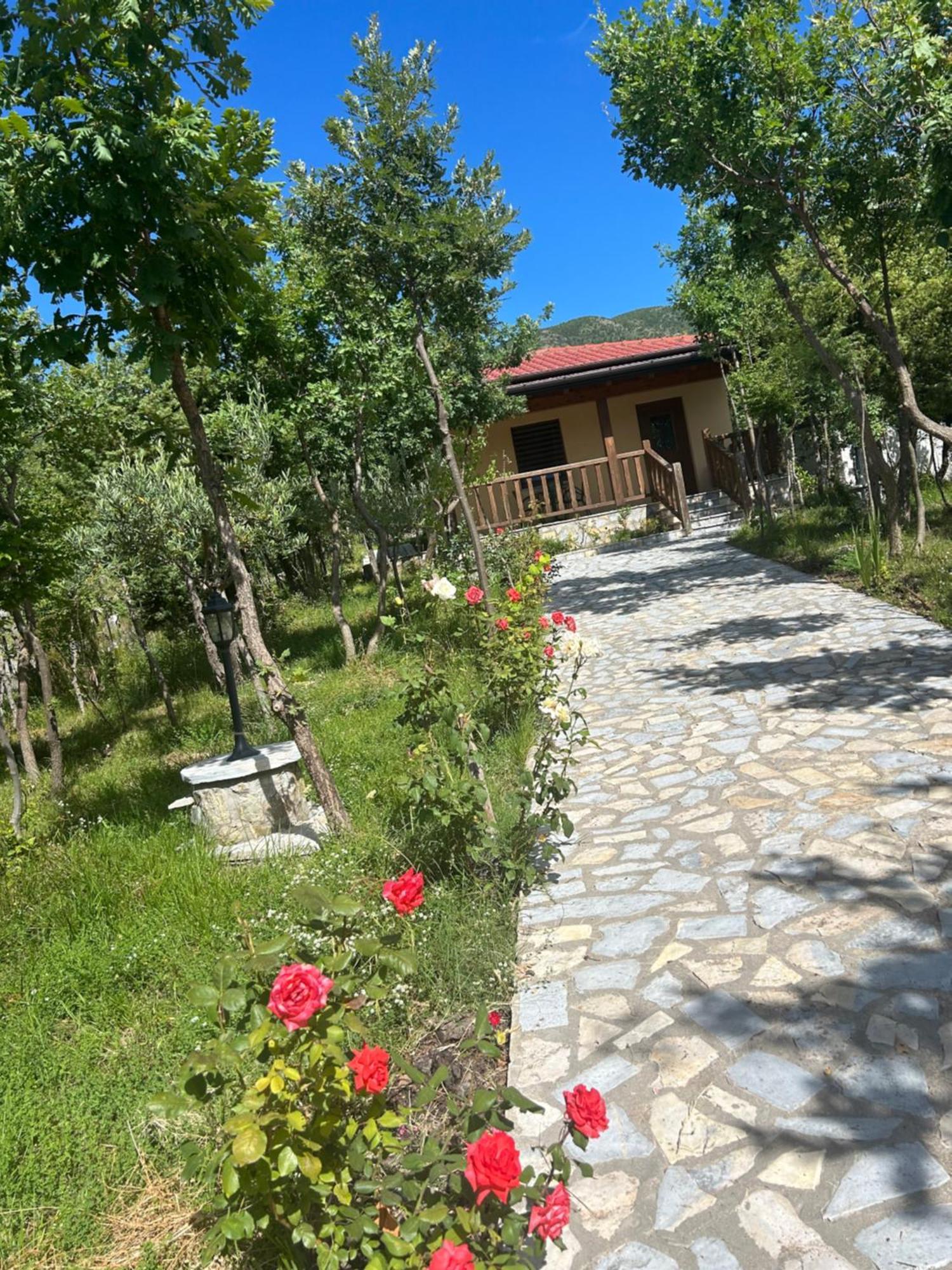 Hani I Leks Agroturizem Lezhe Luaran gambar